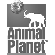 Channel: Animal Planet.